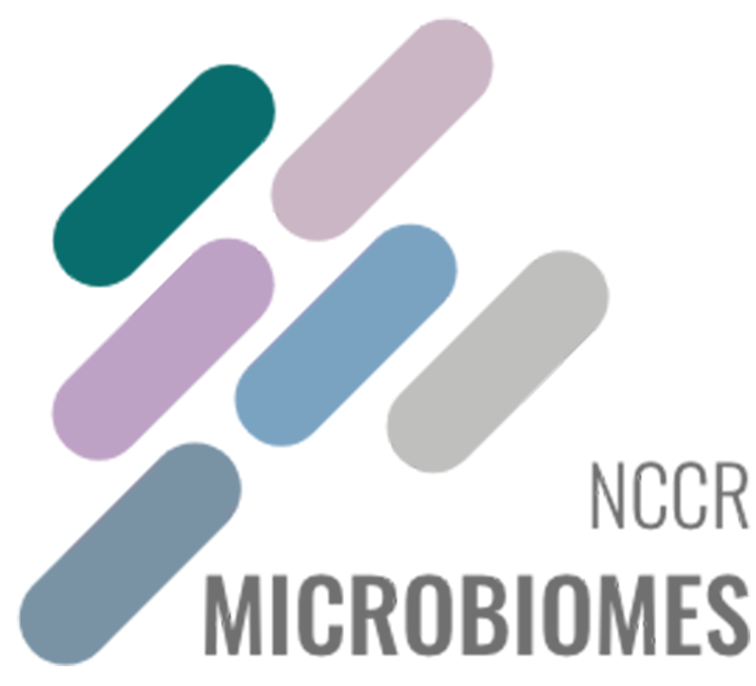 nccr-microbiome.png
